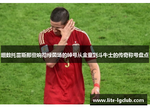 细数托雷斯那些响彻绿茵场的绰号从金童到斗牛士的传奇称号盘点