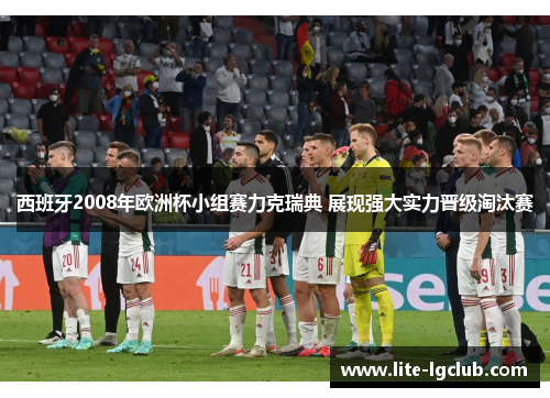 西班牙2008年欧洲杯小组赛力克瑞典 展现强大实力晋级淘汰赛 西班牙2008年欧洲杯小组赛力克瑞典 展现强大实力晋级淘汰赛