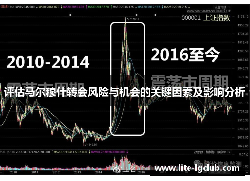 评估马尔穆什转会风险与机会的关键因素及影响分析